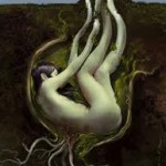 The Mother through the natural law causes all to grow, remain, and transform