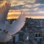 The travel photo winner: peace arrives in Cuba