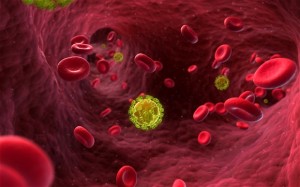 With modern HIV treatment if medication is stopped, HIV reservoirs become active and start to produce more of the virus Photo: Alamy
