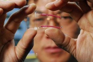 Dr Zhou Lin Wang holds fibers containing nanogenerators. Woven into clothing, these fibers could power devices using energy from our daily movements. Image courtesy of Gary Meek.