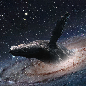 ashira-3-space-whale.jpg