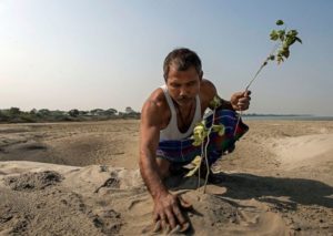 Как Лесной человек из Индии Джейдав Пайенг в одиночку посадил 1400 акров леса Jadav-111-300x213