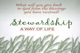 Stewardship 22