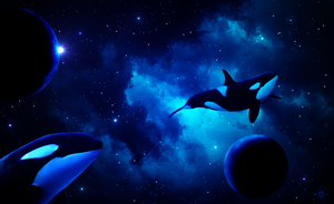 orcas in space 2