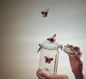 butterflies_freedom