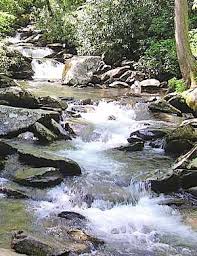 flow of creek water