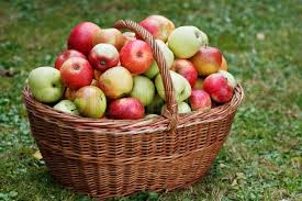 Apples 1