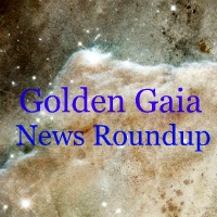 news roundup