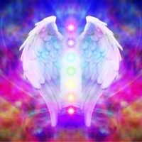 Angel Wings and Seven Chakras