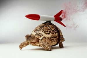 TORTOISE WITH ROCKET