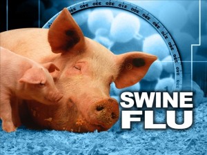 swine-flu-image-2-600x0