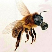Bee mask