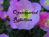 openhearted-rebellion-photo