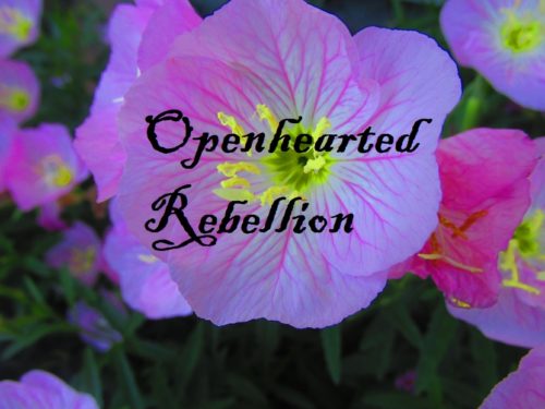 openhearted-rebellion-photo