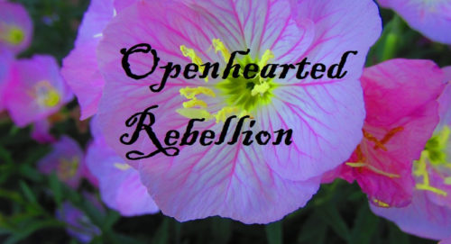 openhearted-rebellion-banner