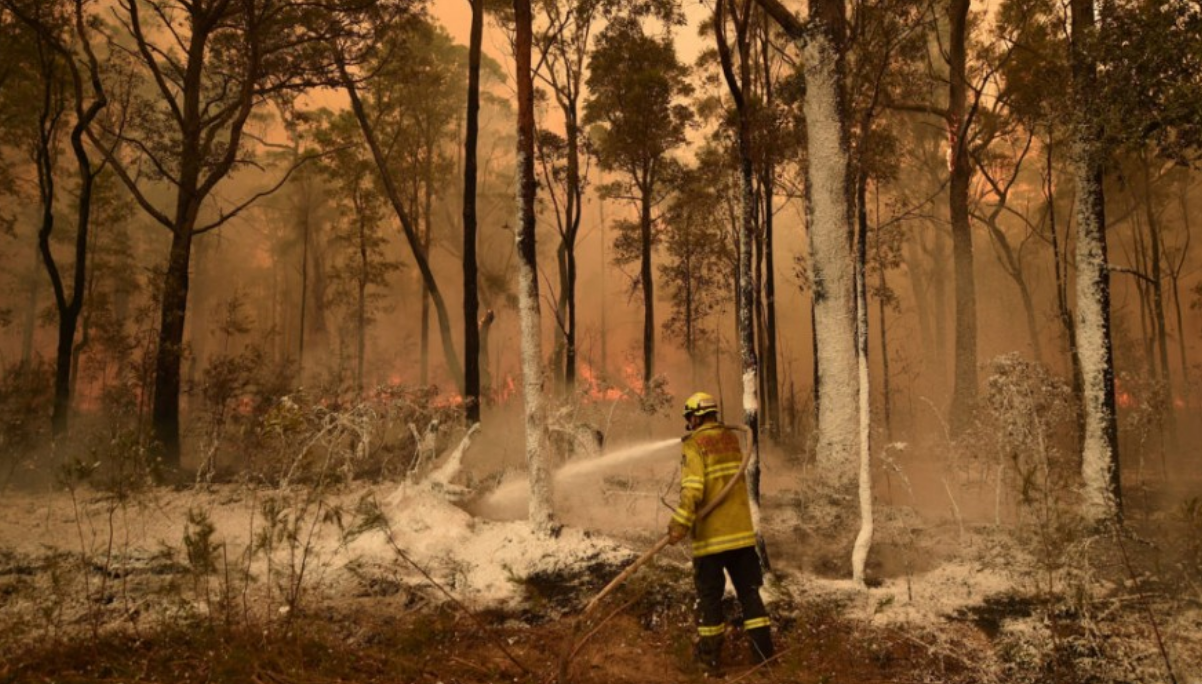 Aboriginal Fire Management - Golden Age Of Gaia