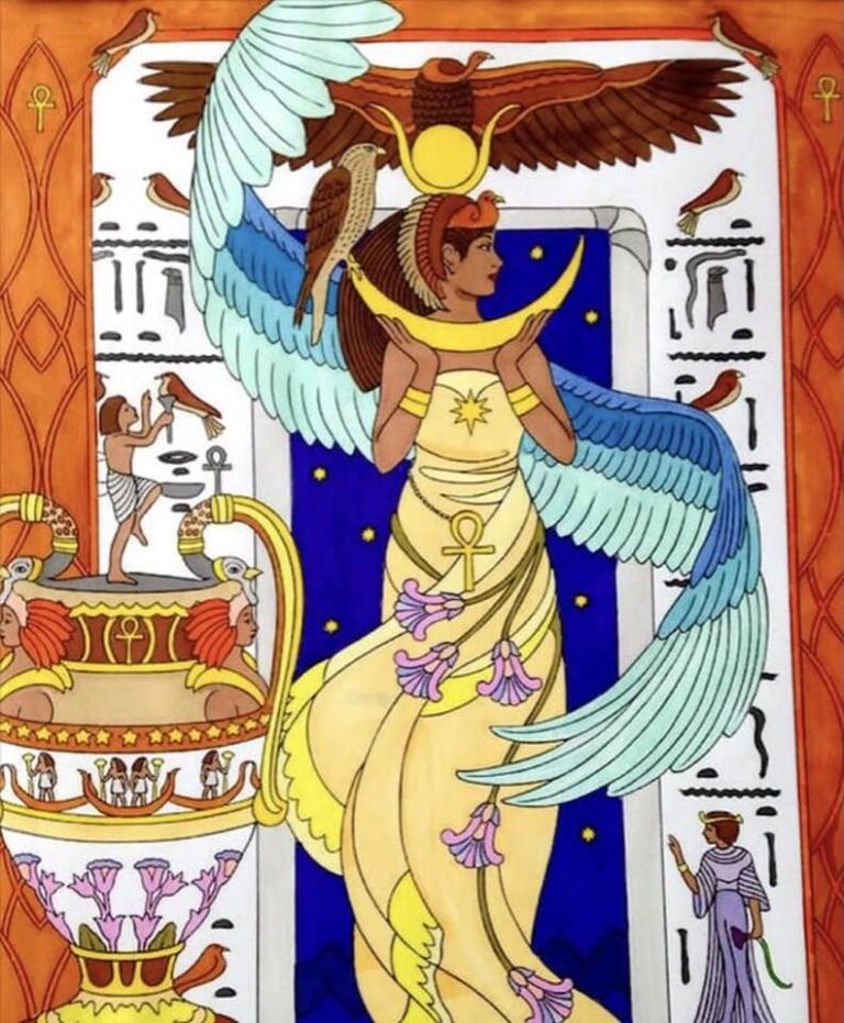 Celia Fenn: The Beauty Codes