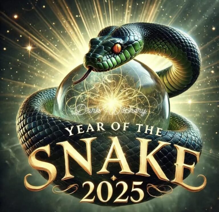 2025 The Year of The Snake