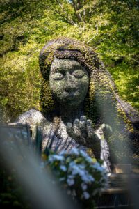 Gaia: Connecting to Love