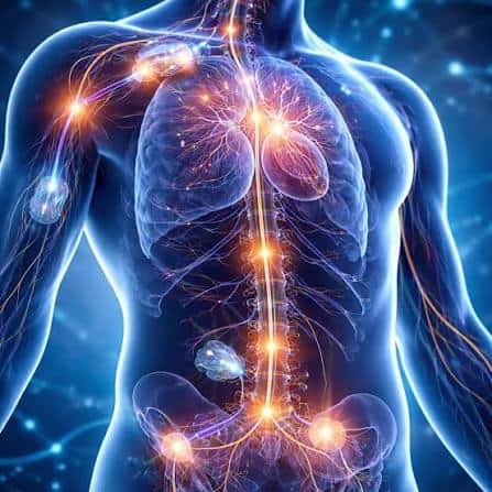 Why Your Nervous System Feels Shaky Right Now: